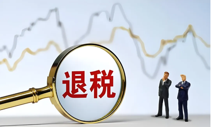 个税退税申报攻略：自行办理VS代为办理，如何选择最适合您的申报方式？